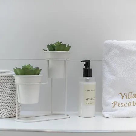 Pescatore 트로기르